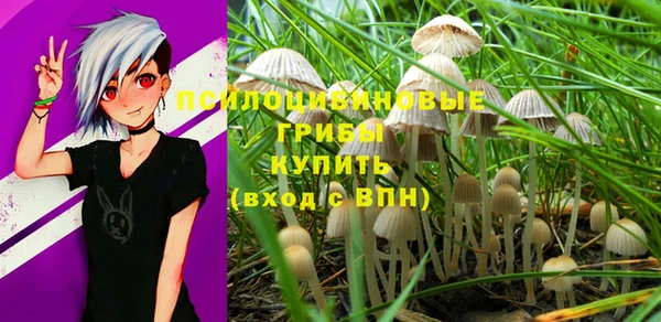 прущие крисы Заводоуковск