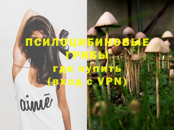 ECSTASY Заволжск
