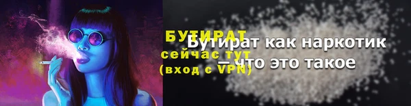 индика Елабуга