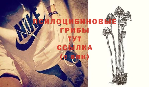 первитин Заволжье