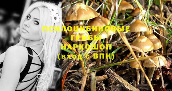 ECSTASY Заволжск